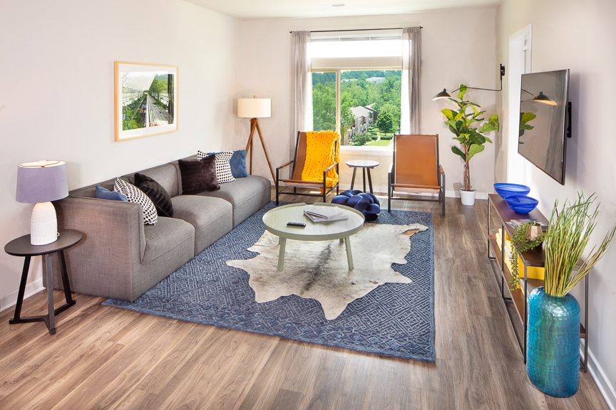 Fairfax Apartments - Scout on the Circle - Living Room with Grey Couch, Circle Coffee Table, and Large Window