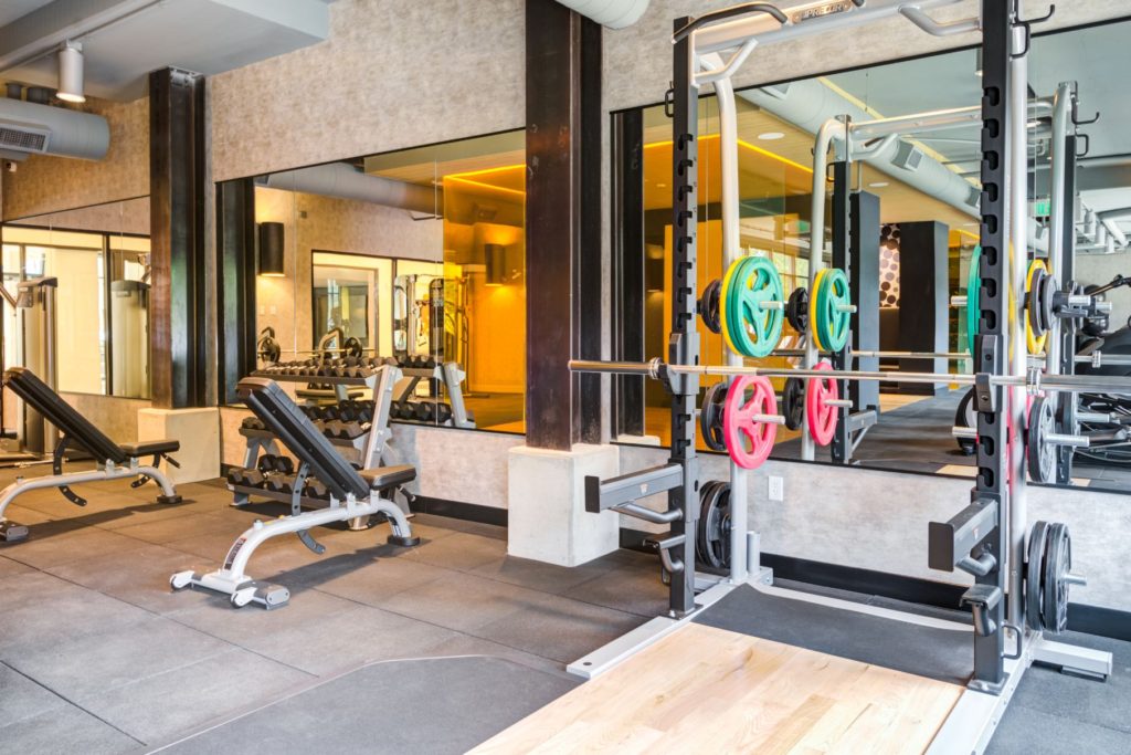 fitness center with free weights and benches at scout luxury fairfax apartments